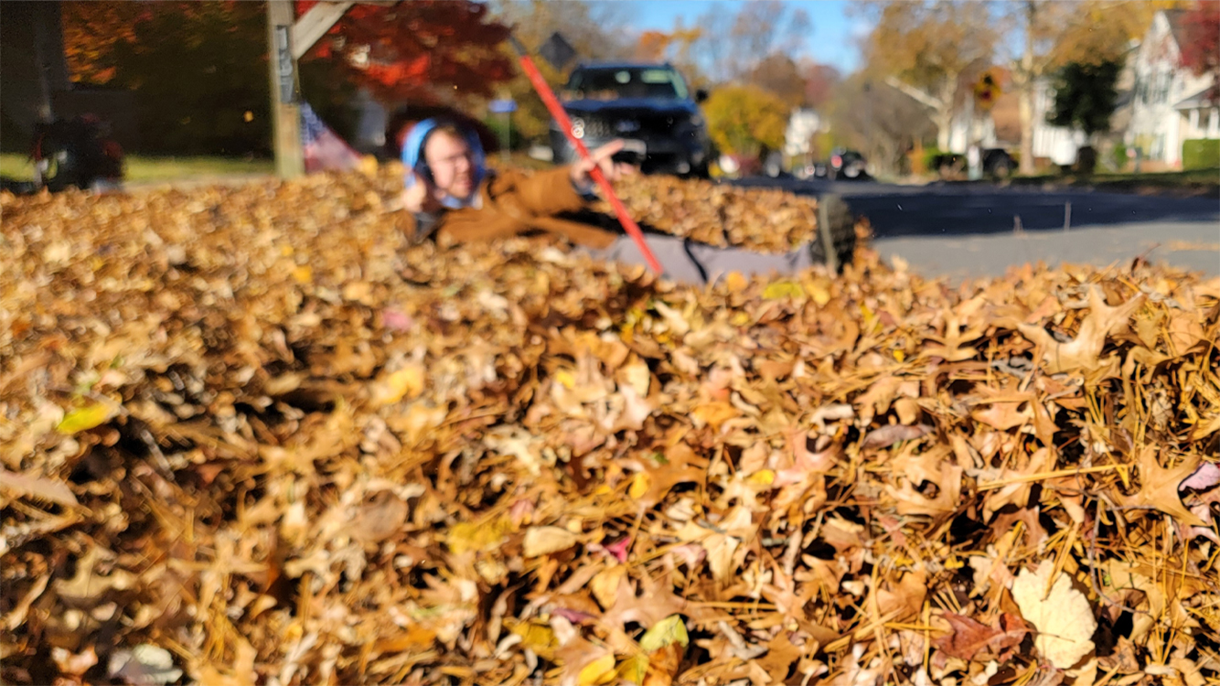 Pile of fall leaves